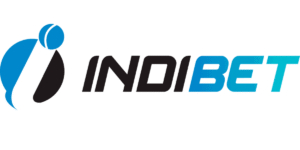 Indibet Data Study